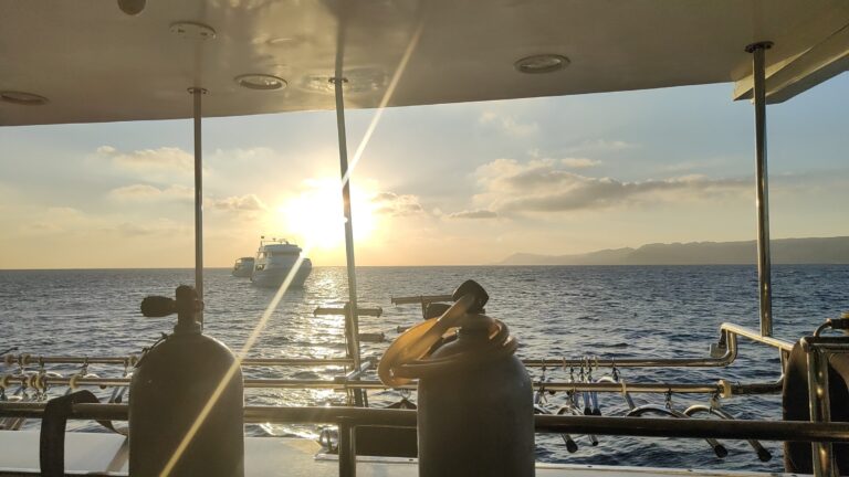 Tauchsafari Ägypten Nord 2026 – MY Ocean Window